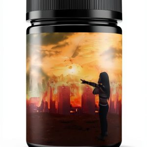 End of World Book 1 - Christian Prophecy Kindle eBook-0