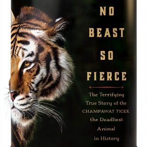 Cats, Lions & Tigers Biology Illustrated Edition-0